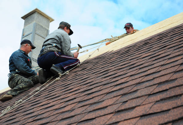 Best Storm Damage Roof Repair  in Cleves, OH